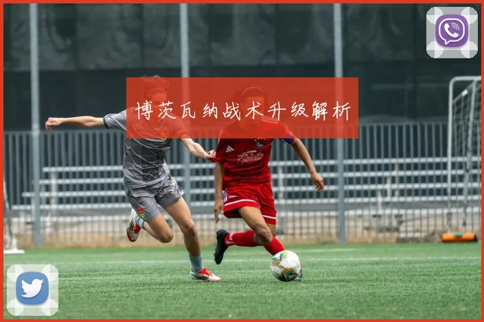 博茨瓦纳战术升级解析