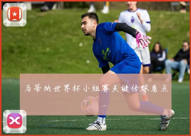 马蒂纳世界杯小组赛关键传球看点