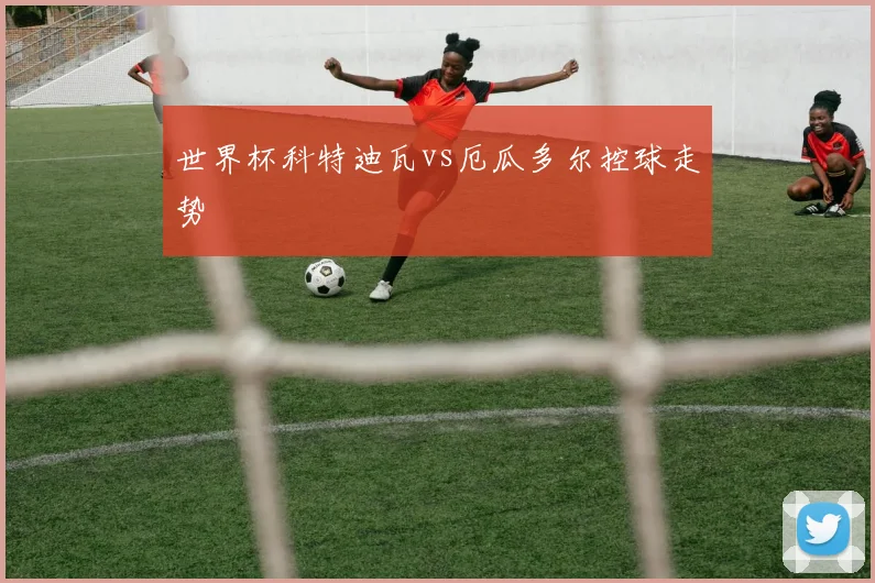 世界杯科特迪瓦vs厄瓜多尔控球走势