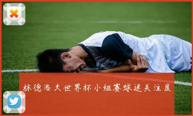林德洛夫世界杯小组赛球迷关注度