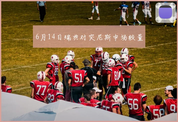 6月14日瑞典对突尼斯中场较量