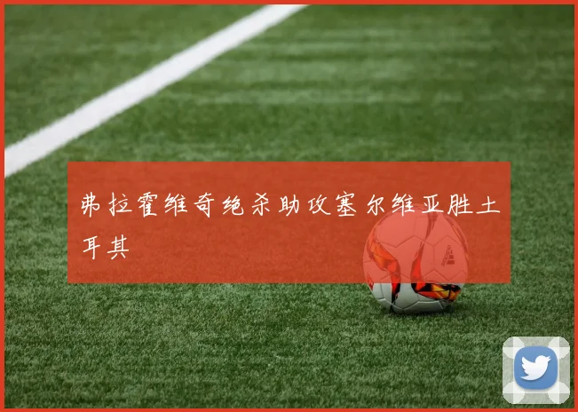 弗拉霍维奇绝杀助攻塞尔维亚胜土耳其