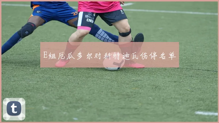 E组厄瓜多尔对科特迪瓦伤停名单