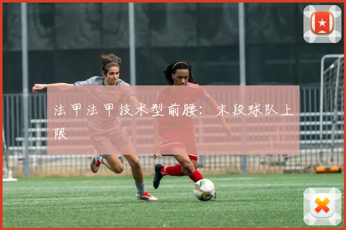法甲法甲技术型前腰:末段球队上限