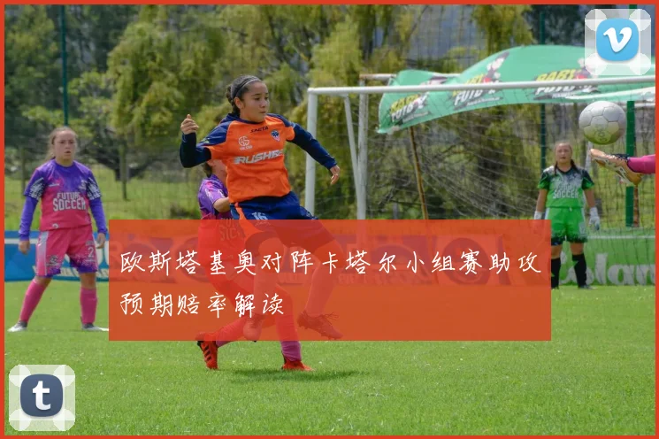 欧斯塔基奥对阵卡塔尔小组赛助攻预期赔率解读
