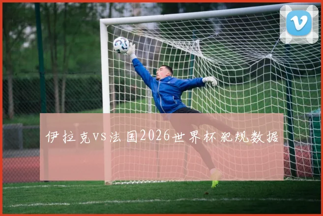 伊拉克vs法国2026世界杯犯规数据