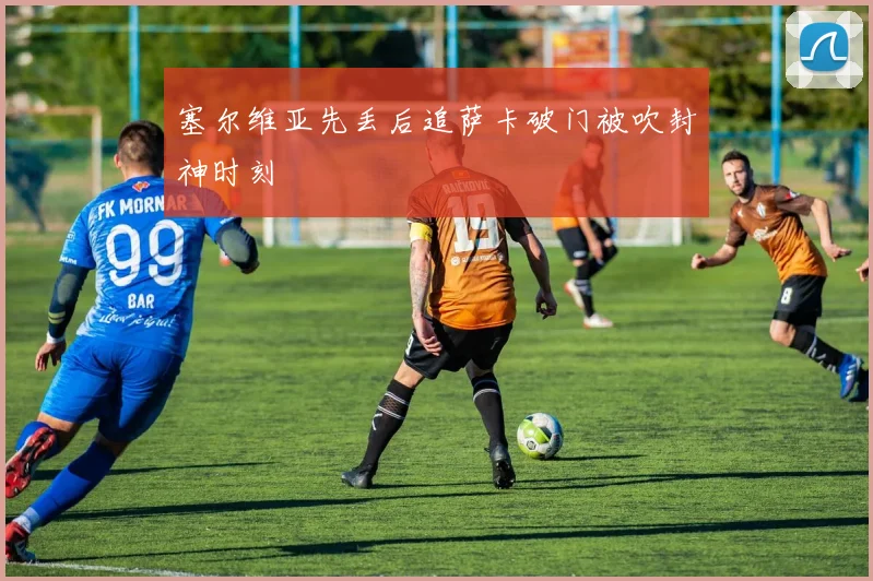 塞尔维亚先丢后追萨卡破门被吹封神时刻